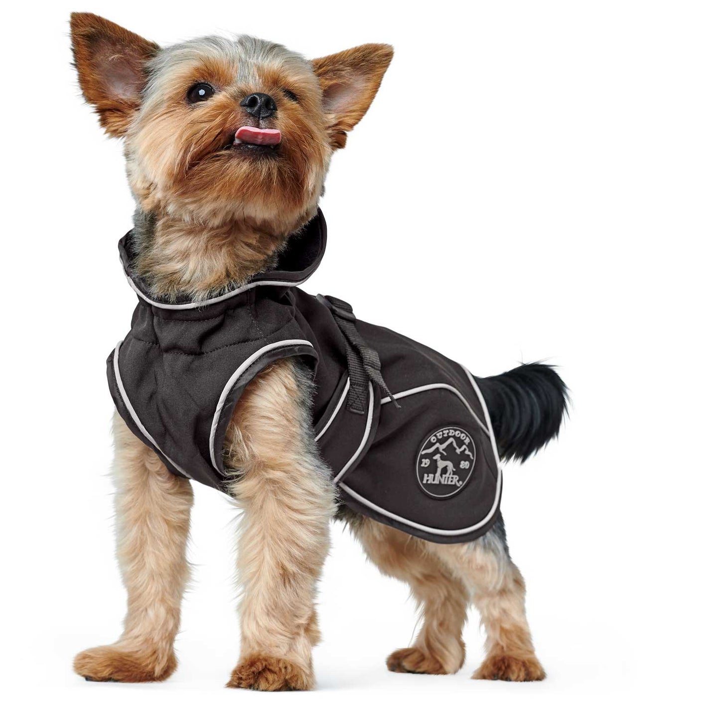 Hunter Hundemantel Uppsala Softshell I futterhütte Leipzig