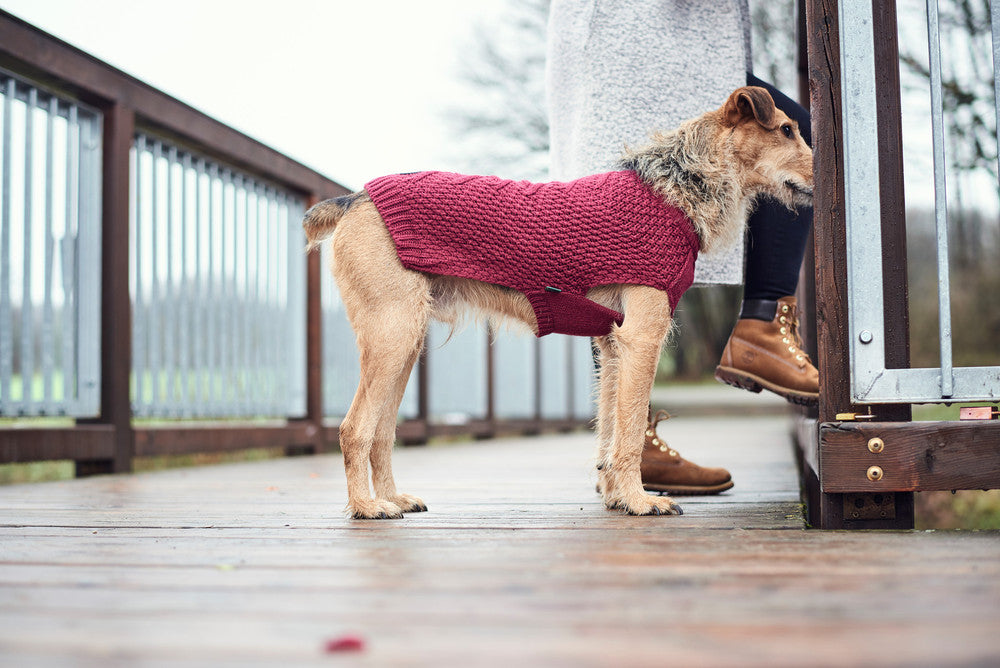 Hunter Hundepullover Malmö bordeaux I futterhütte Leipzig