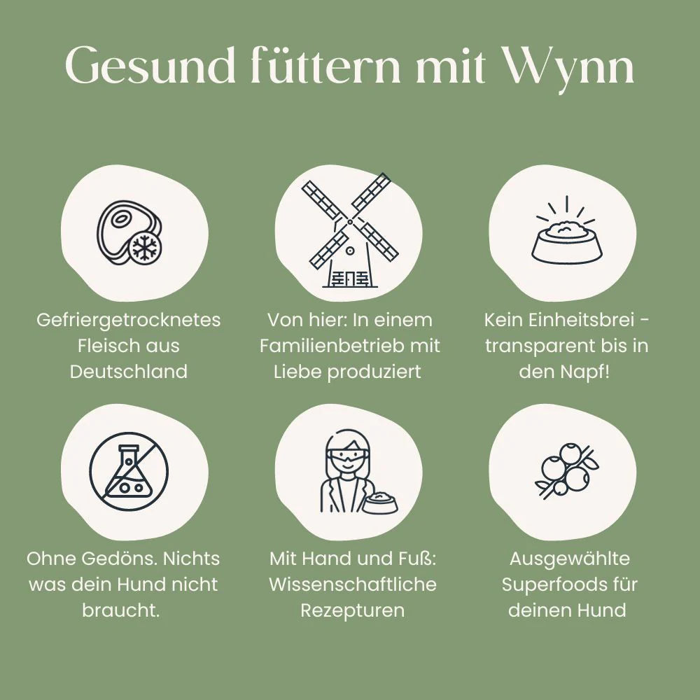 Wynn Petfood Nassfutter Hirsch I futterhütte Leipzig