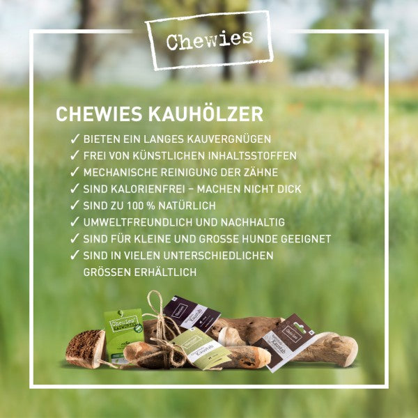 Petsnature Chewies Olivenholz Kaustab XS I futterhütte Leipzig