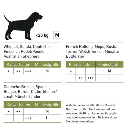 Petsnature Chewies Olivenholz Kaustab M I futterhütte Leipzig